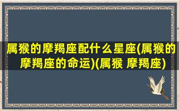 属猴的摩羯座配什么星座(属猴的摩羯座的命运)(属猴 摩羯座)